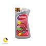 روغن هیدرولیک خودرو کاسپین ATF DEXRON II یک لیتری