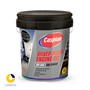 روغن موتور دیزلی نقره ای کاسپین CH4 15W40 بیست لیتری