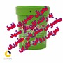 روغن موتور ایرانول 20w50 CF4 D9000 plus سطل 