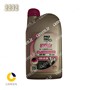 روغن موتور سیکلت پروتک پروموتو 10W50 یک لیتری SN  دارای استاندارد JASO